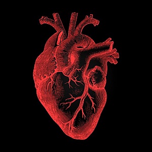 coronary heart disease, heart failure , how to prevent heart diseases