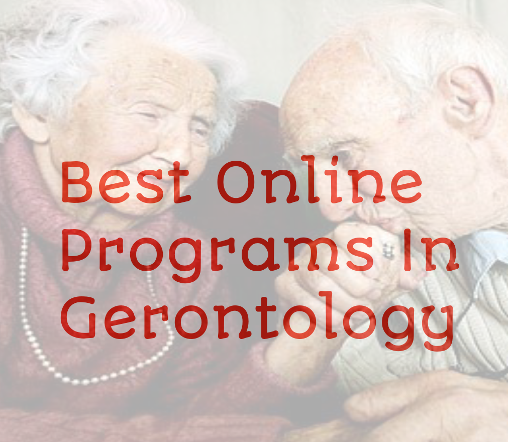 gerontology phd programs online