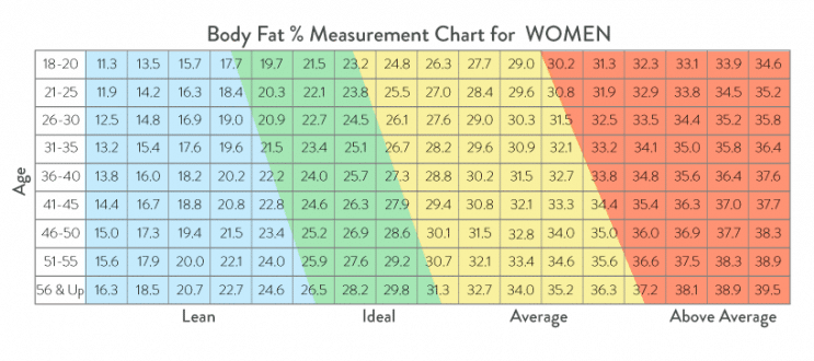weight chart bmi calculator women