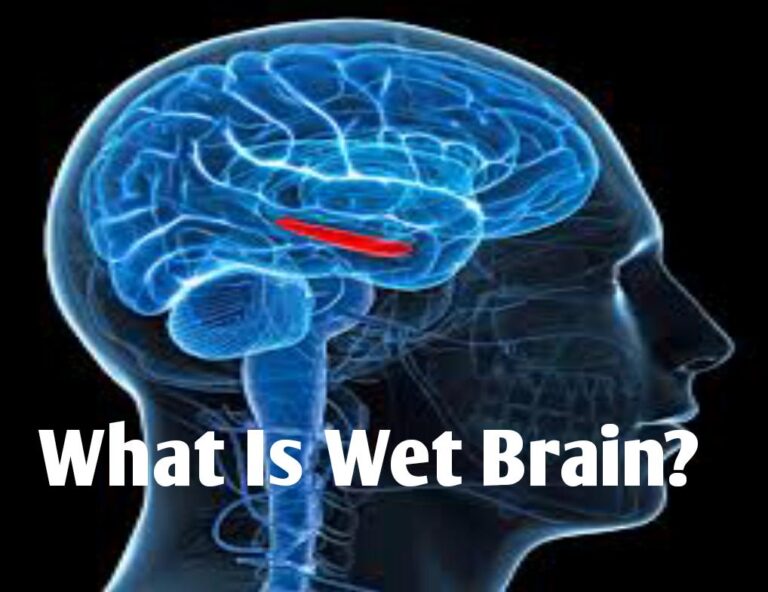 What is Wet Brain? - Public Health