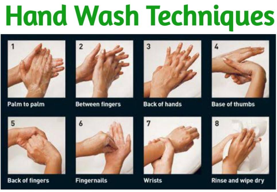 8 Steps Of Hand Washing Proper Hand Washing Hand Wash - vrogue.co