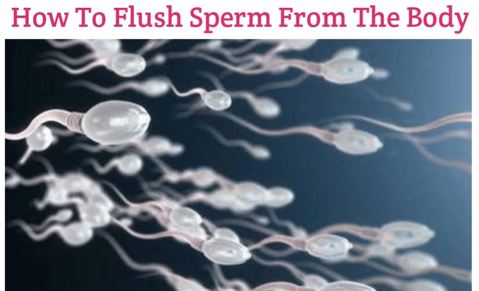 How To Flush Out Sperm From The Body Naturally picture