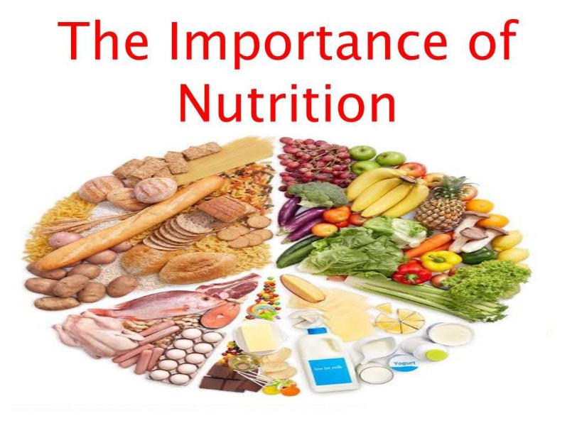 speech on importance of nutrition