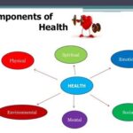 What Are The 5 Components Of Health Related Fitness? - Public Health