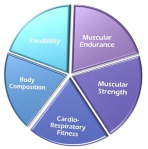research about health related fitness components