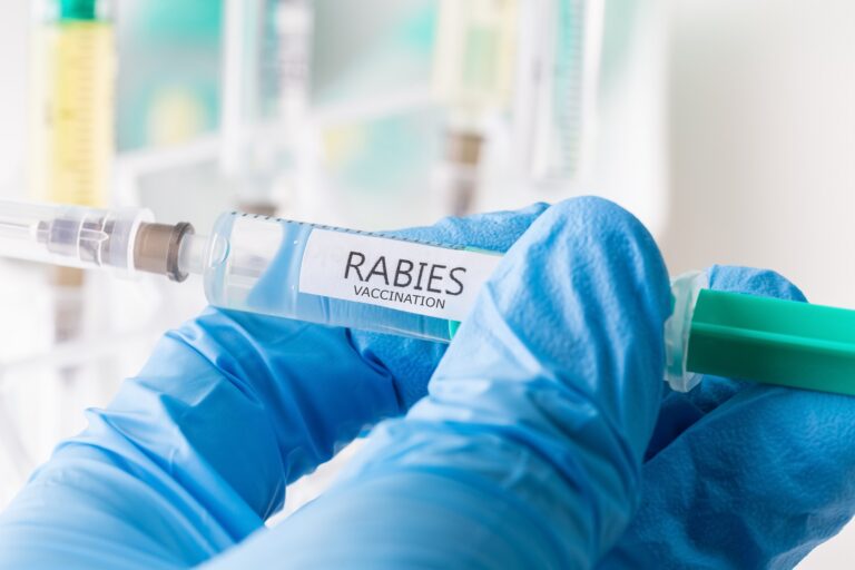 What To Do After Accidental Double Dose Of Rabies Vaccine - Public Health